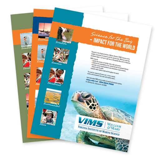 Vims Print Ads